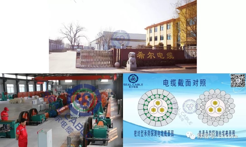 1540273098407922.jpg 640.webp (4).jpg